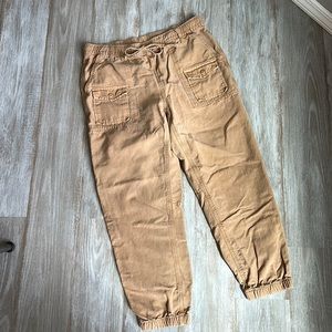 Aerie Drawstring Waist Ankle Length Cargo Khaki Pants